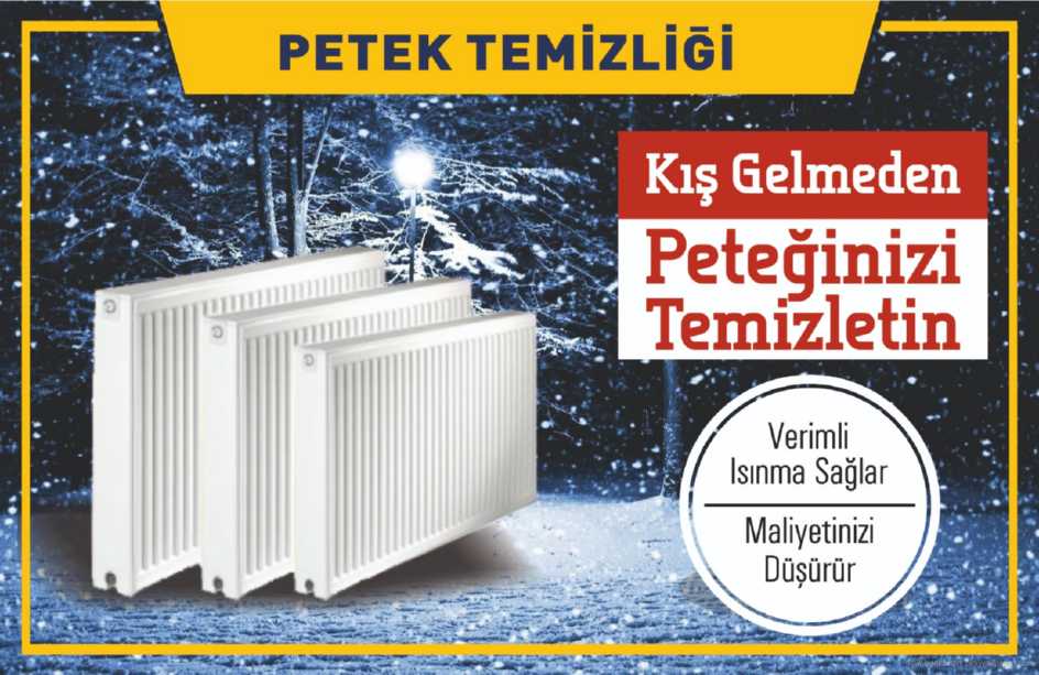 Petek Temizliği Ne Zaman Yapılır ?