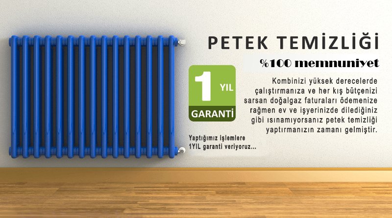 Ankara Petek Temizliği